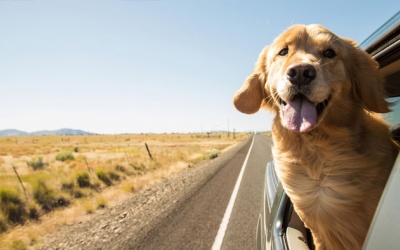 Tử vi thứ Bảy (10/6/2023): Bọ Cạp sẽ duy trì được tâm trạng vui vẻ