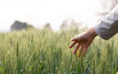 Tử vi thứ Tư (14/6/2023): Song Ngư sẽ có ngày mới khá yên bình