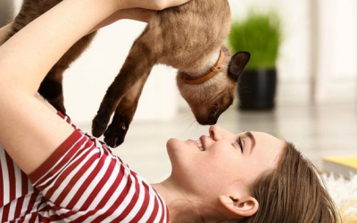 Cảnh giác với bệnh nhiễm giun đũa chó mèo