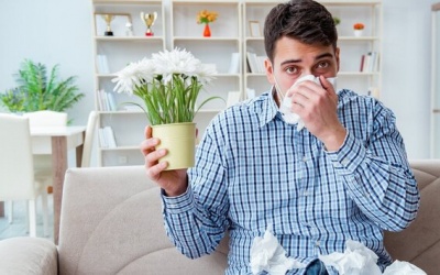 Nơi ẩn náu của các tác nhân gây dị ứng trong nhà