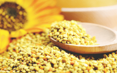 Thực hư tác dụng tăng kích cỡ vòng một của phấn hoa