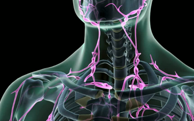 10 cách giúp hệ bạch huyết hoạt động tốt