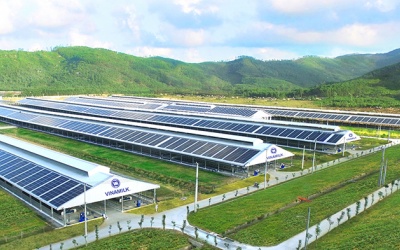 “Giảm thiểu-Hấp thụ” để xóa dấu chân carbon: Nhìn từ các thực hành tại Vinamilk