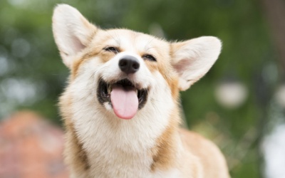 Tử vi thứ Bảy (15/7/2023): Thiên Bình sẽ có ngày mới nhiều niềm vui