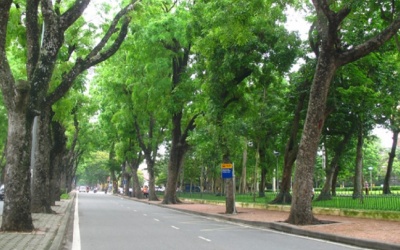 Bắc Bộ giảm mưa, Nam Bộ mưa to chiều tối