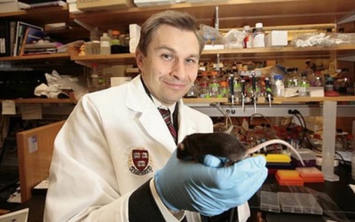 Phát hiện loại thuốc có thể đảo ngược quá trình lão hóa