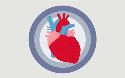 Triệu chứng bệnh suy tim: Cách phát hiện và điều trị hiệu quả