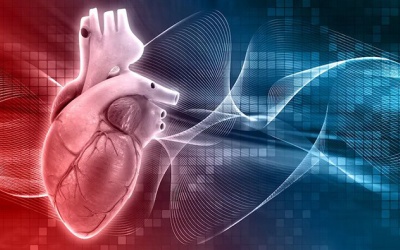 Bị thiếu máu cơ tim có thể dùng thảo dược hỗ trợ được không?