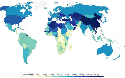Xếp hạng các nước tiêu thụ nhiều rau củ nhất thế giới: Việt Nam đứng thứ mấy?