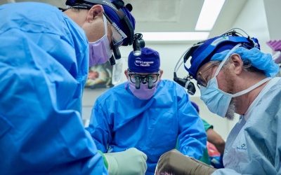 Thận lợn hoạt động bình thường sau hơn 1 tháng ghép vào cơ thể người