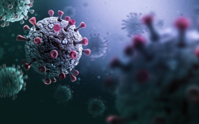 Một biến chủng Omicron mới xuất hiện khiến cả WHO và CDC Mỹ lo lắng