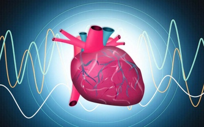 Cách làm tăng phân suất tống máu cho người bệnh suy tim