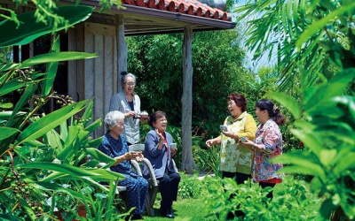 7 thực phẩm được ưa thích tại vùng đất trường thọ Okinawa, Nhật Bản