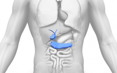 Chuyên gia giải đáp: Sỏi túi mật 24mm có nguy hiểm không?