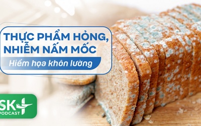 Podcast: Thực phẩm hỏng, nhiễm nấm mốc - Hiểm họa khôn lường