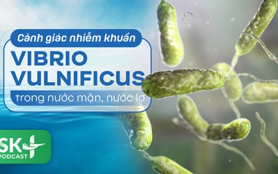 Podcast: Cảnh giác nhiễm khuẩn Vibrio vulnificus trong nước mặn, nước lợ