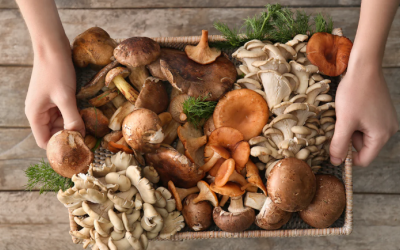 Vì sao nên ăn nấm hàng tuần?