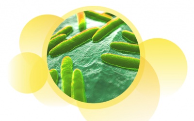 Nâng cao hệ miễn dịch với Delta-Immune 