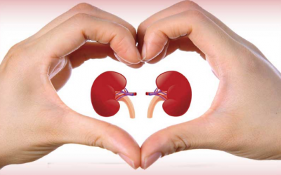 Thực phẩm người ung thư thận không nên ăn