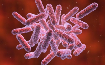 Một nữ sinh nhiễm vi khuẩn 'ăn thịt người' tử vong, Bộ Y tế ra khuyến cáo 