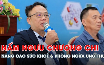 Công dụng của nấm Ngưu Chương Chi trong phòng ngừa các bệnh ung thư