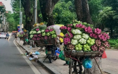 Cuối tuần, Bắc Bộ và Trung Bộ giảm mưa
