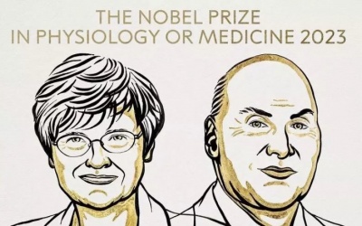 Giải Nobel Y sinh 2023 khẳng định giá trị của công nghệ mRNA