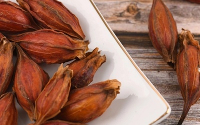 Dành dành – Bước cải tiến của y học trong hỗ trợ điều trị suy thận