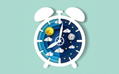 Nhóm thời gian sinh học và thời điểm làm việc năng suất nhất trong ngày 