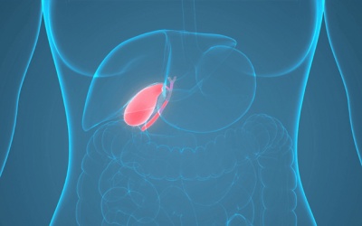 Sỏi bùn kín túi mật dùng TPBVSK Kim Đởm Khang còn hiệu quả không?