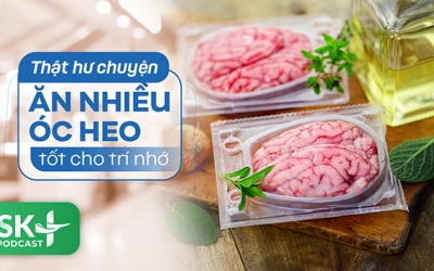 Podcast: Thật hư chuyện ăn nhiều óc heo tốt cho trí nhớ
