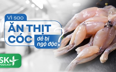 Podcast: Vì sao ăn thịt cóc dễ bị ngộ độc?