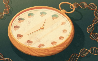 Tuổi sinh học nói lên điều gì về sức khỏe của bạn?