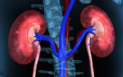 Suy thận độ 3 có chữa được không?