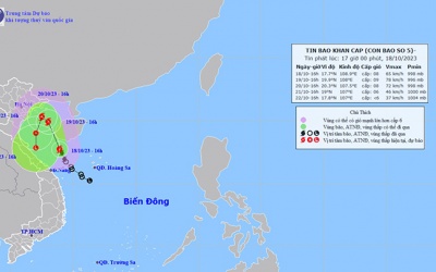 Áp thấp nhiệt đới mạnh lên thành bão số 5, Bắc Bộ sắp mưa lớn