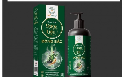 Thu hồi toàn quốc lô Dầu gội dược liệu Đông Bắc và tinh dầu hoa bưởi kém chất lượng