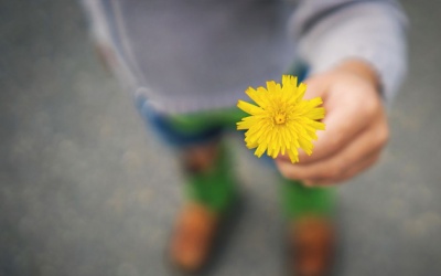 Tử vi Chủ nhật (22/10/2023): Nhân Mã nên chủ động cho đi nhiều hơn