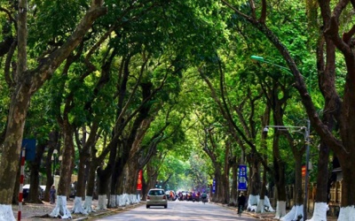 Bắc Bộ tăng nhiệt, Trung Bộ mưa lớn vài nơi