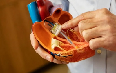 Thay van tim lần thứ hai có tỉ lệ thành công cao không?