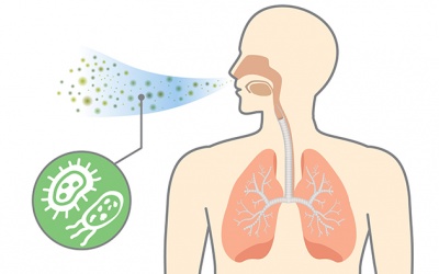 Nguyên nhân gây viêm phổi kéo dài