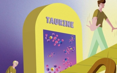 Bác sĩ chia sẻ thực phẩm bổ sung giúp chống lão hóa