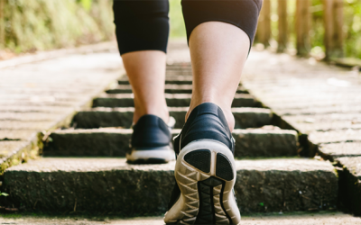 Cần đi bộ bao nhiêu bước mỗi ngày để kéo dài tuổi thọ?