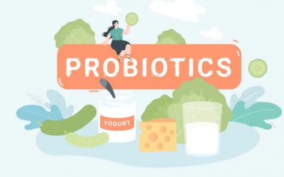 Infographic: Các thực phẩm giàu probiotics tốt cho hệ tiêu hóa