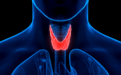 Dấu hiệu nhận biết nhân xơ tuyến giáp