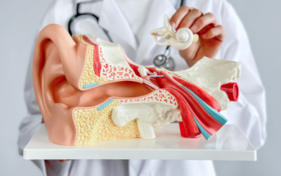 Ù tai là triệu chứng của bệnh gì?  