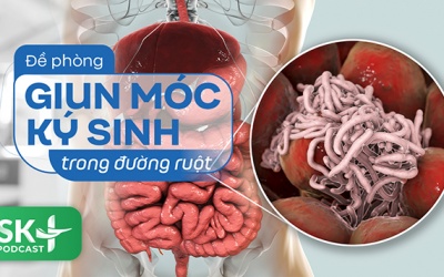 Podcast: Đề phòng giun móc ký sinh trong đường ruột
