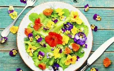 Những loài hoa ăn được còn tốt cho sức khỏe