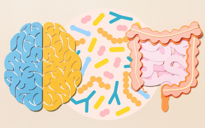 Tăng nguy cơ mắc Alzheimer do đường ruột kém