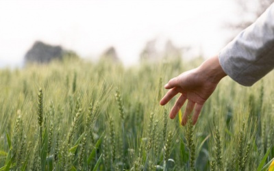 Tử vi thứ Tư (15/11/2023): Nhân Mã sẽ tìm được bình yên trong cuộc sống