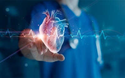 Phương pháp đốt điện tim có thể được áp dụng khi nào?